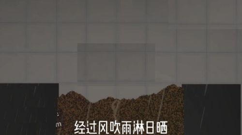 甜瓜娱乐场最新爆料