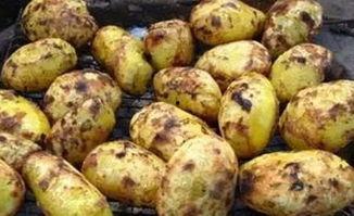 龙在线观看土豆,揭秘热门剧集背后的制作故事 第1张 龙在线观看土豆,揭秘热门剧集背后的制作故事 第1张